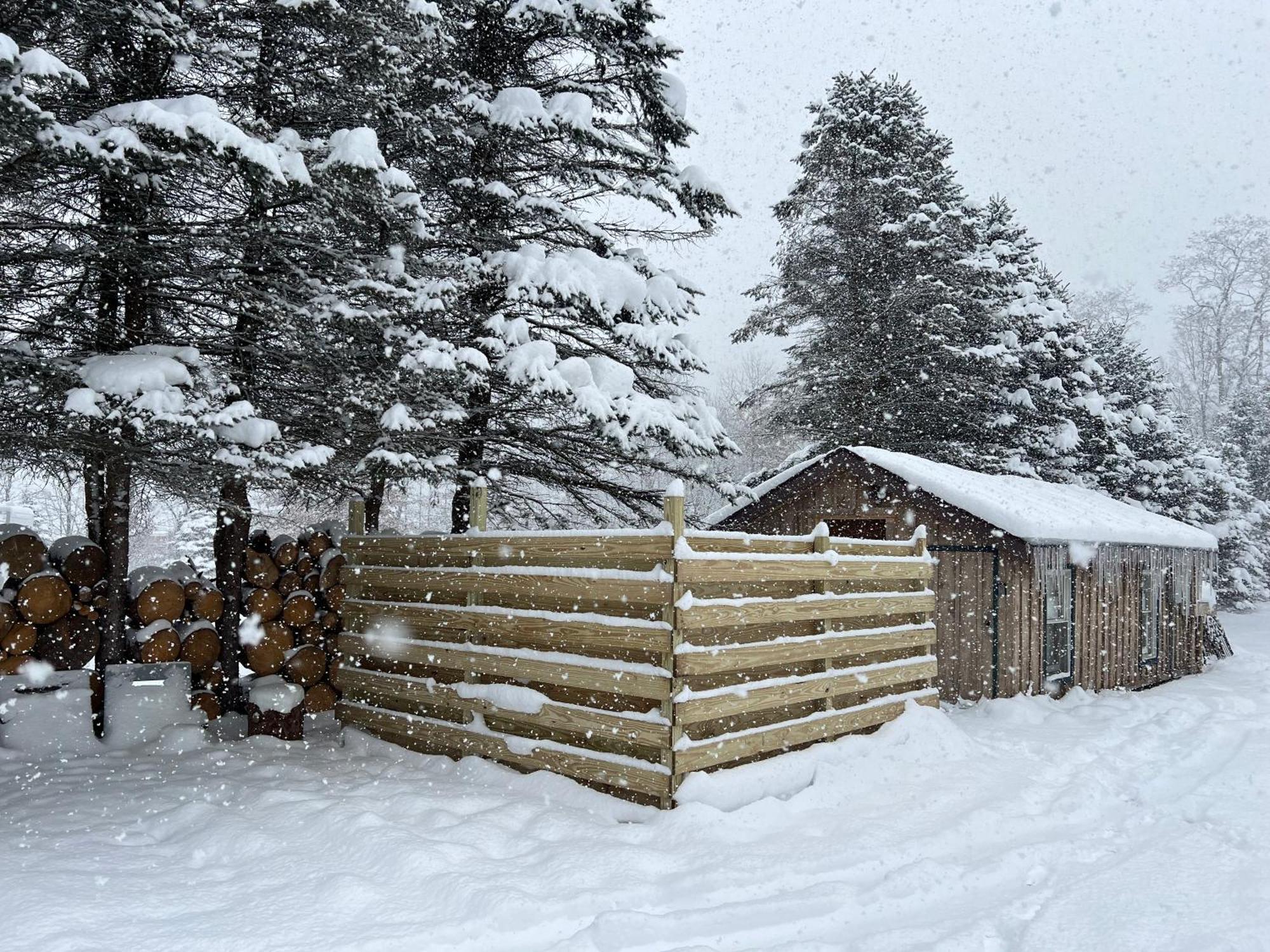 Timberline Lodge Ellicottville Εξωτερικό φωτογραφία